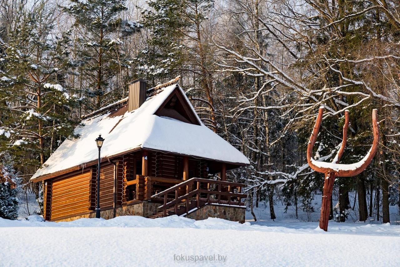 Ski Complex Logoysk Lahojszk Kültér fotó