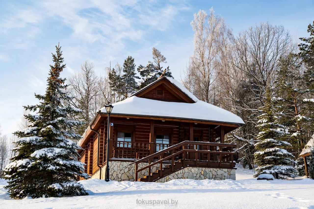 Ski Complex Logoysk Lahojszk Kültér fotó